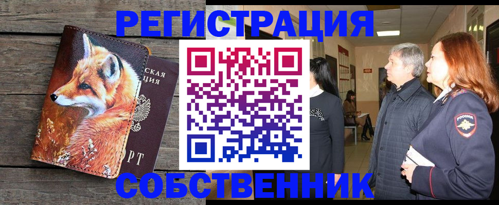 временная регистрация поиск в Коврове